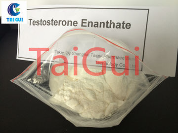 Porcellana Muscle lo steroide 100mg/ml dell'en della prova di Testosteron Enanthate dell'ormone steroide del testosterone della costruzione fornitore