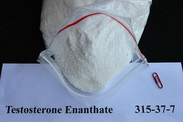 Porcellana Materia prima CAS 315-37-7 del testosterone degli steroidi farmaceutici anabolici sicuri di Enanthate fornitore