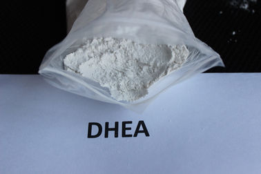 Porcellana Materie prime farmaceutiche delle polveri steroidi crude antinvecchiamento del deidroepiandrosterone/DHEA fornitore