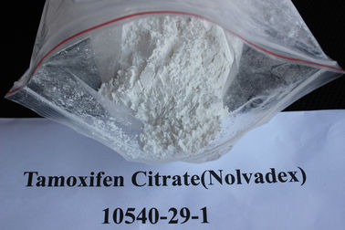 Porcellana Anti citrato di tamoxifene dell'estrogeno/steroidi orali CAS 10540-29-1 trattamento del cancro di Nolvadex fornitore