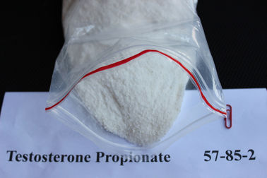 Porcellana Polvere legale naturale degli steroidi della costruzione del muscolo del proponiato 57-85-2 del testosterone per gli uomini fornitore