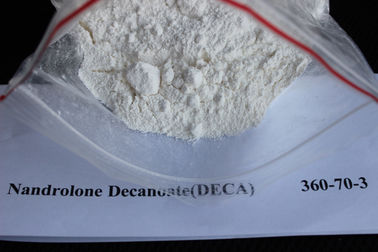 Porcellana Fonte steroide cruda bianca steroide della polvere di Decanoate DECA delle nandrolone di CAS 360-70-3 per medicina fornitore